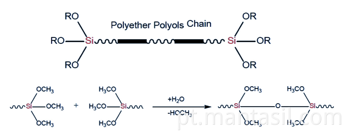 Polymer's Curing Mechanism